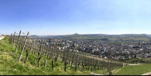 Panorama Ahrweiler